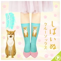 【アニマル】CS-0272【柴犬】クルーソックス