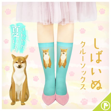 【アニマル】CS-0272【柴犬】クルーソックス