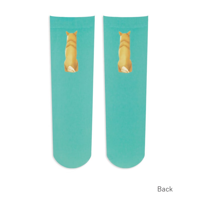 しろいぬ Yahoo!オークション - 【HONDA SUPER DIO ZX スーパーディオZX