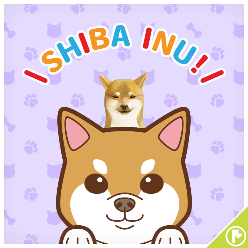 しろいぬ ライブDio ZX(ホンダ) ホワイト系・白色のバイク一覧｜新車