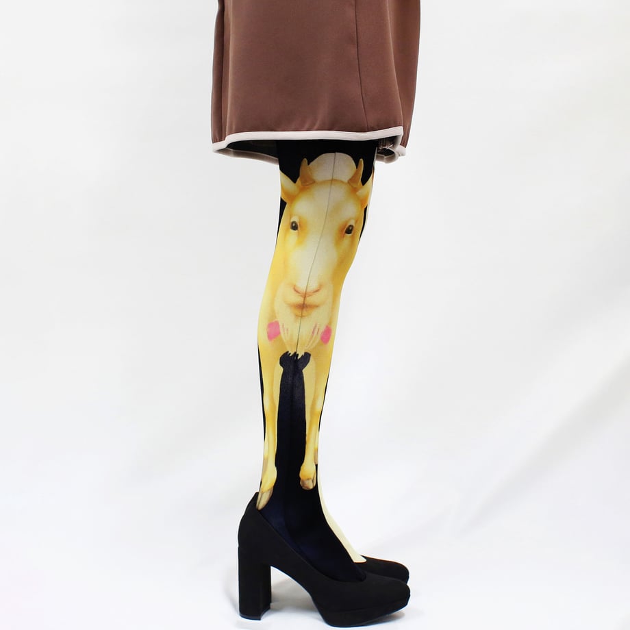 60138f4b6728be55081912c1