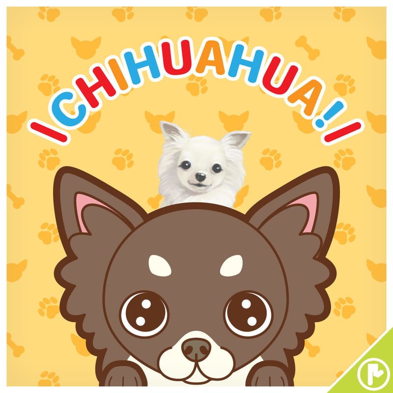 アニマル】8T-0263【チワワ】タイツ | 面白い！かわいい！プリント