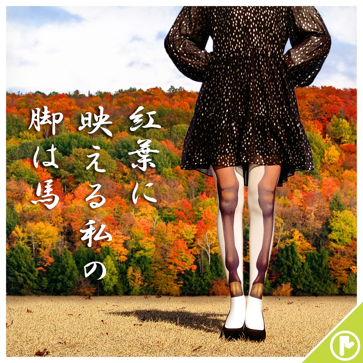 みとうま。 418s7rm+rTL._UF894,1000_QL80_.jpg