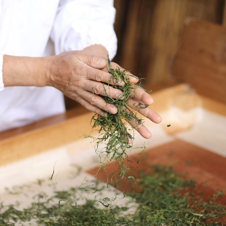 【2026新茶】農薬無散布　手もみ茶