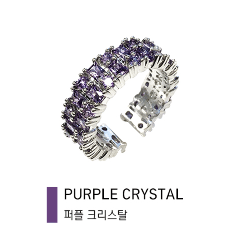 レインボーカラーツインクブリングリング PURPLE SILVER #PASION