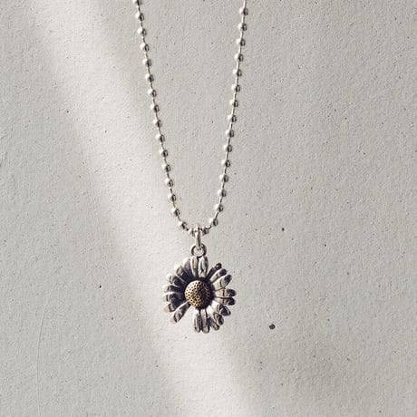 ASTRO ウヌ STARGAZER ネックレス ASTRO ウヌ STARGAZER ネックレス Amazon.co.jp: ASTRO チャウヌ