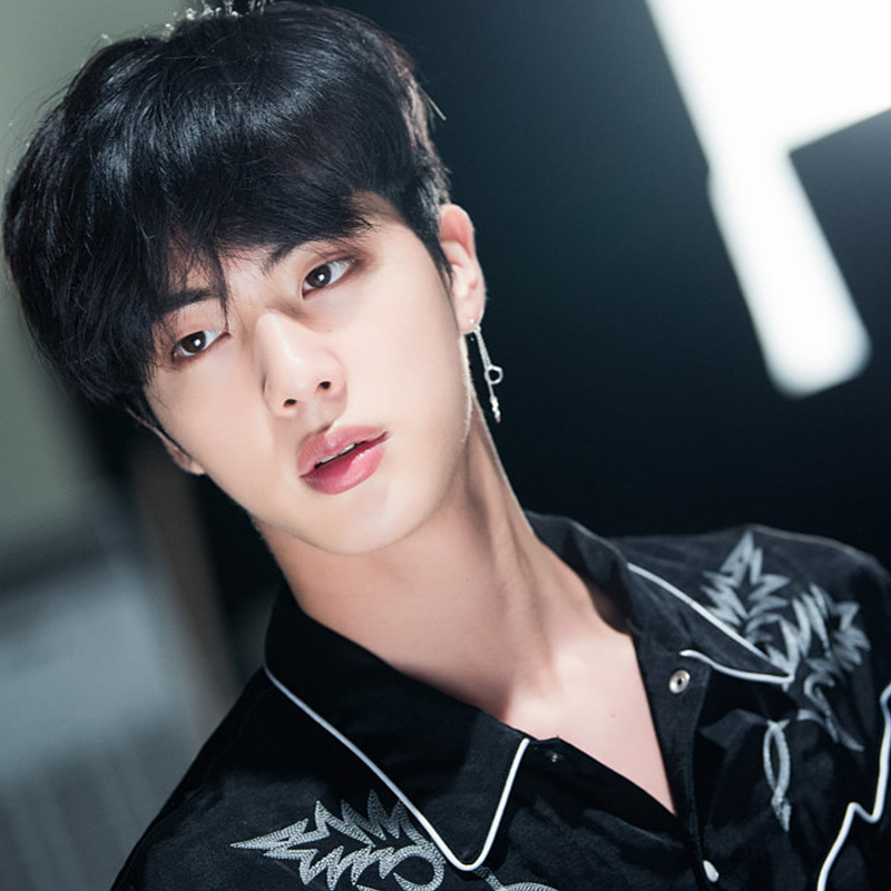 BTS JIN ソクジン着用モデル ダブルサークルピアス 2pc 1ペア | 日本