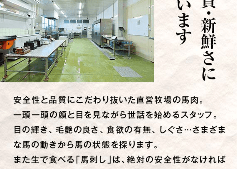 国産 馬刺し 赤身 ブロック肉 約10人前 計約500g 専用ボトル醤油 国産 馬刺し 赤身 ブロック肉 約10人前 計約500g 専用ボトル醤油