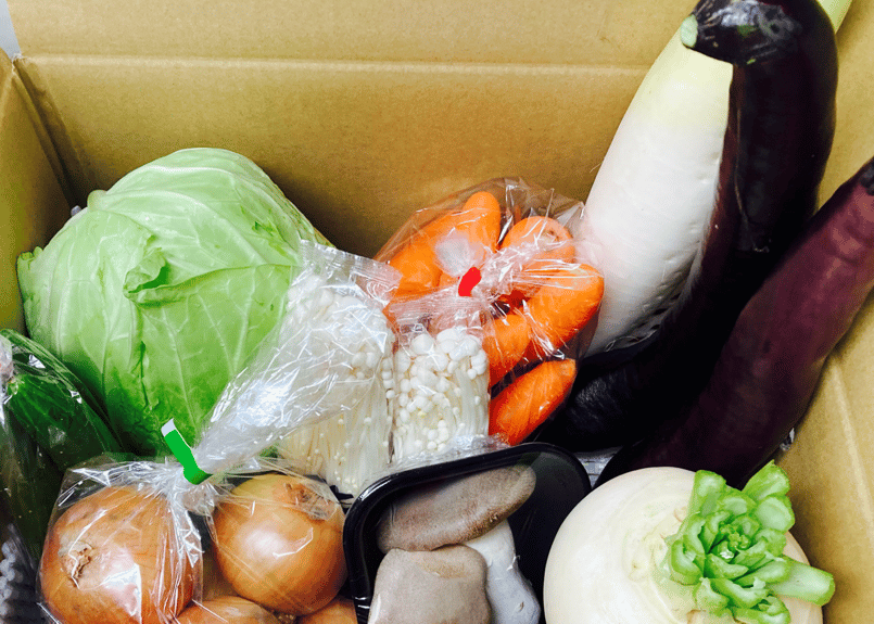 熊本産 九州産 旬の野菜 新鮮 まるごと詰め合わせセット 10品 訳あり