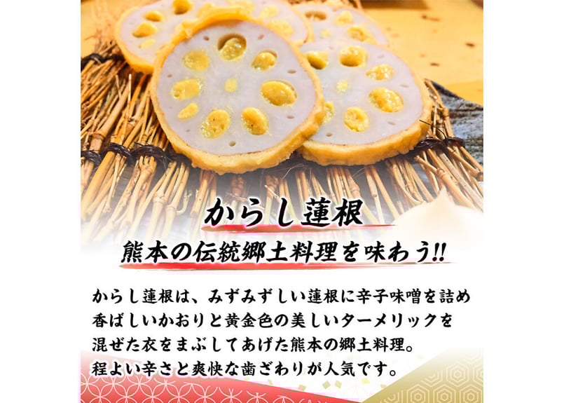 食物本草本大成　全12巻揃 Amazon.co.jp: 食物本草本大成 全12巻 : 益三, 上野, 始子, 吉井: 本