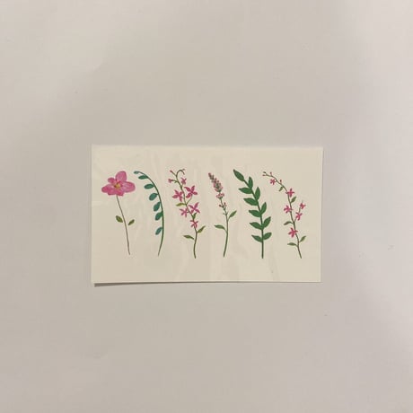 spring