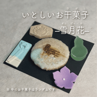 8月のいとしいお干菓子　–雪月花–〔5種各1つずつ〕