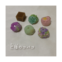 【数量限定】芒種のコバコ