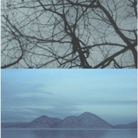 ただいま。 DVD 宇野祥平 小松菜奈 島田大介 RADWIMPS ただいま。 DVD