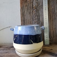 プランター　陶器鉢　暑くなる前に植え替えを