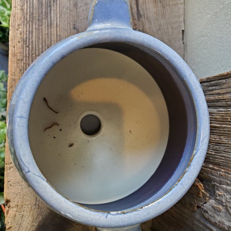 プランター　陶器鉢
