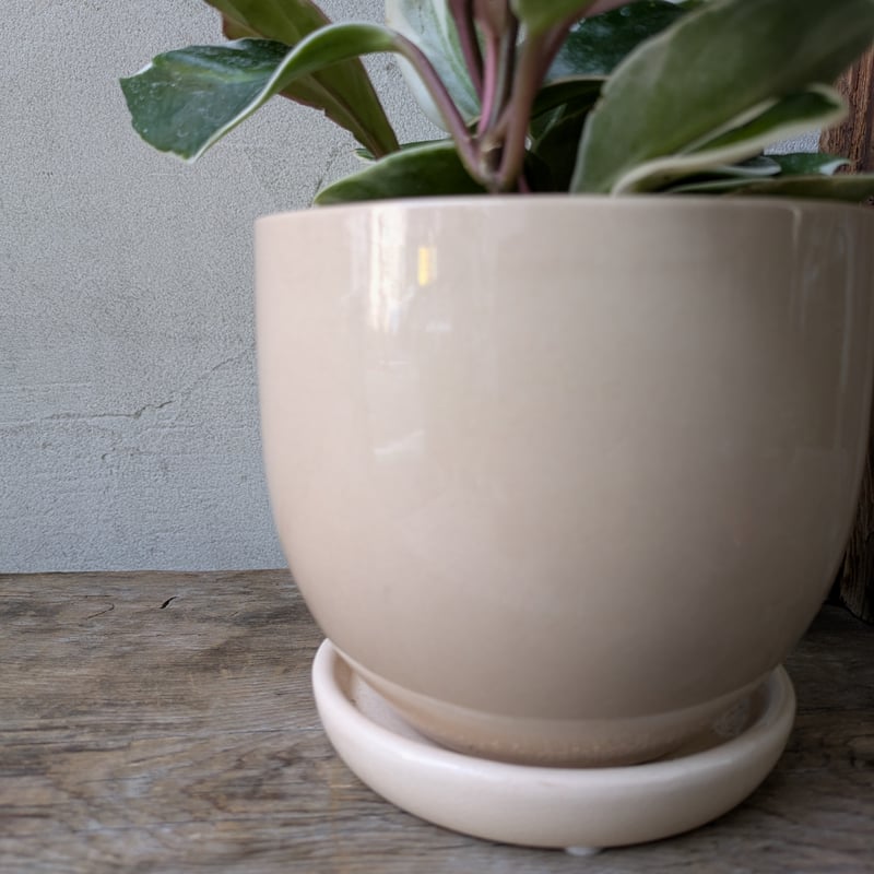 山形⇔上ノ山　ホーロー製サボ　【クリーム色】 XT-PATHWAY 2 – サロモン公式オンラインストア