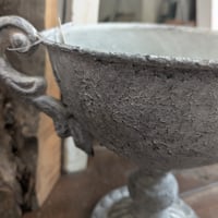 植木鉢　暑くなる前に植え替えを