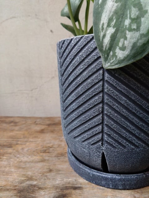 スキンダプサス | in Style