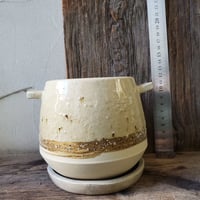 プランター