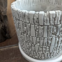 プランター　　陶器鉢　暑くなる前に植え替えを