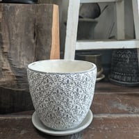 プランター　陶器鉢　　春の植え替えにむけて