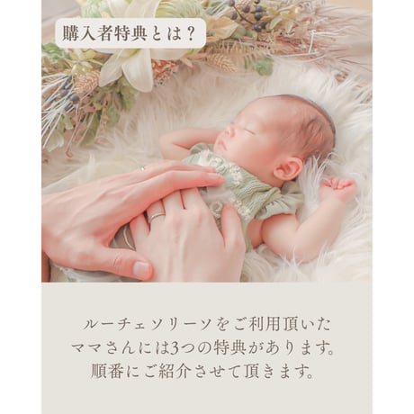 お任せセット
