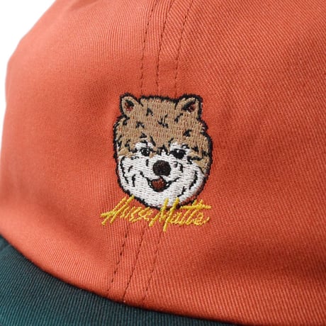 Pomeranian Cap(Orange)