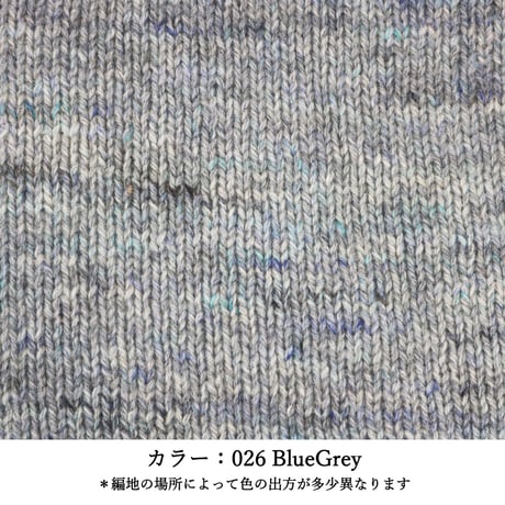 LORCA - ロルカ - /  合太 / 50g (165m)巻き (4)