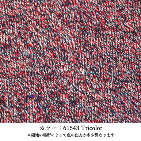 LORCA - ロルカ - /  合太 / 50g (165m)巻き (5)
