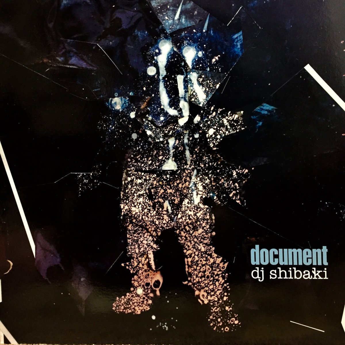 document/dj shibaki (LP) | buki Records