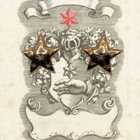 star vintage earrings