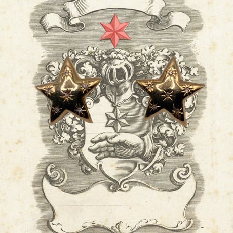 star vintage earrings