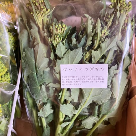 SPIRA FARM BOX　—旬の野菜セット—《クロネコヤマト発送》