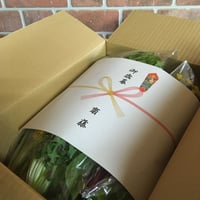 【お中元仕様：Mサイズ（10-15種類）】SPIRA FARM BOX　—旬の野菜セット—