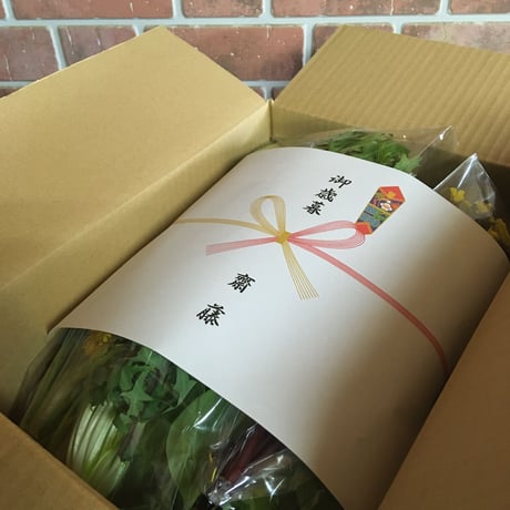 【お歳暮仕様：Mサイズ（12-18種類）】SPIRA FARM BOX　—旬の野菜セット—