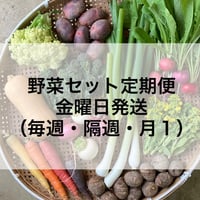 【定期便（金曜日発送）】旬の野菜セット（１０～１２品）