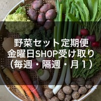 【定期便（金曜日SHOP受け取り）】旬の野菜セット（１０～１２品）
