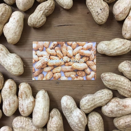 食べ始めたら止まらない♩茹でたてホクホク！手のひらサイズの生落花生「おおまさり」（1kg）