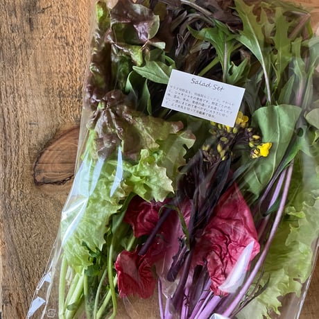 SPIRA FARM BOX　—旬の野菜セット—《クロネコヤマト発送》