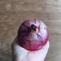 【野菜セット増量オプション】赤玉ねぎ（１～２個）