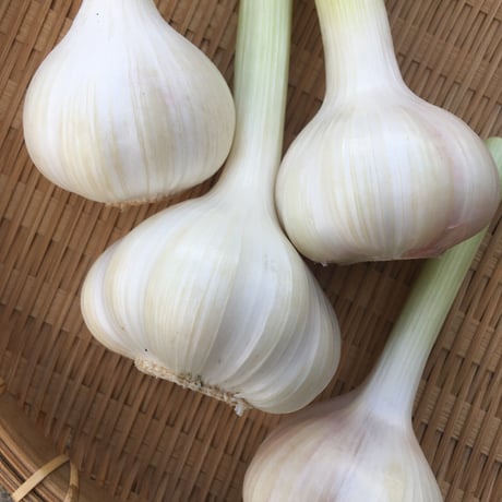 【野菜セット増量オプション】にんにく250g（およそ6～8玉）