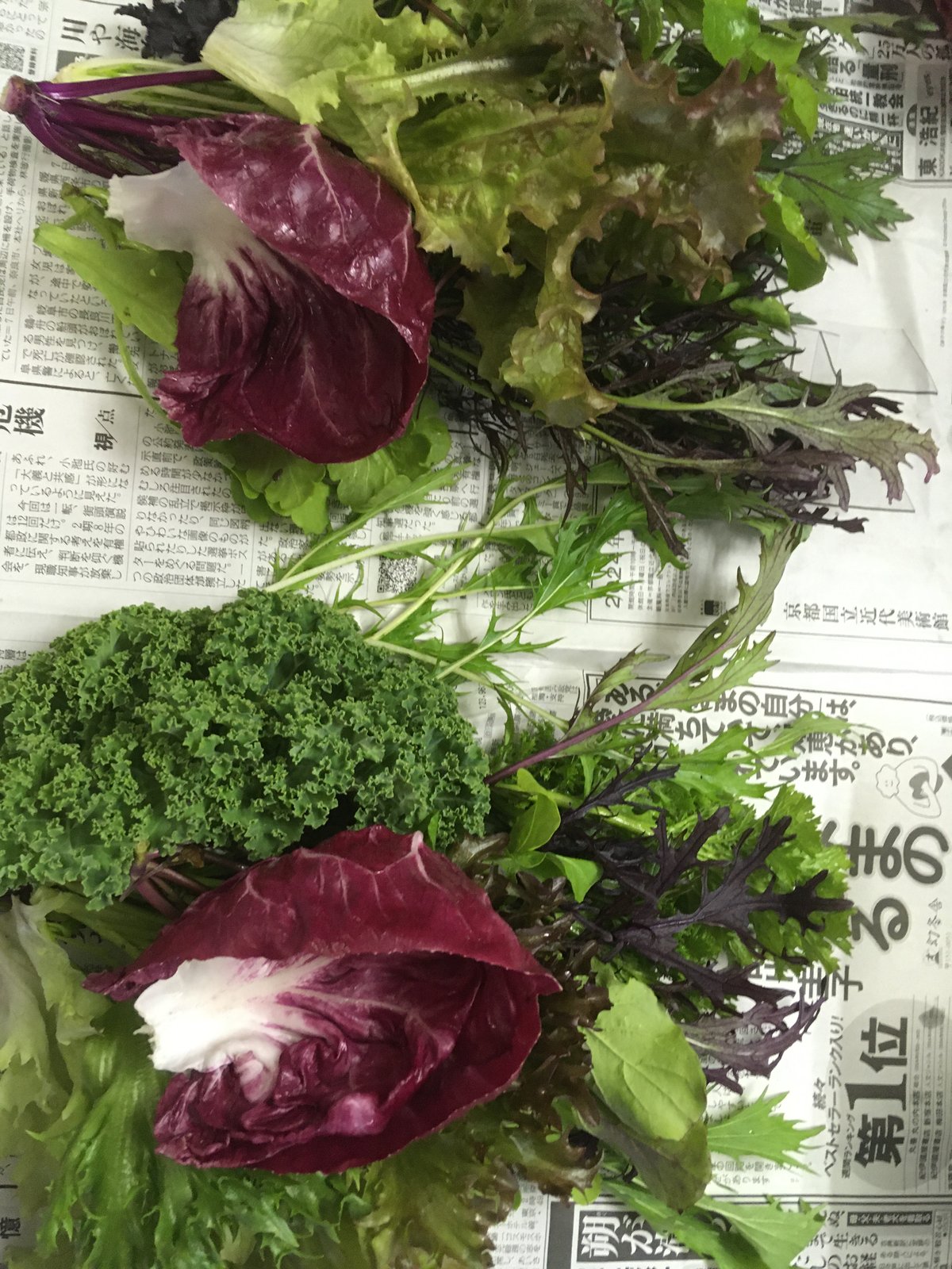 4/17発送 野菜セット SPIRA FARM BOX —旬の野菜セット—《クロネコヤマト発送》 | SPIRA FAR