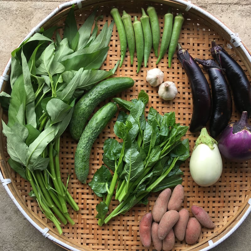 ノブパン様でお受け取り】SPIRA FARM BOX —旬の野菜セット— | SPIRA F...