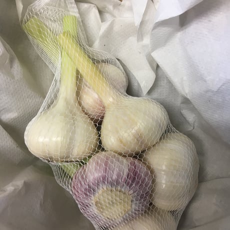 たっぷり！にんにく500g（およそ12〜14玉）クロネコヤマト発送分