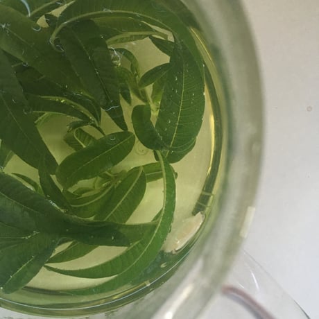 【野菜セット増量オプション】ドライハーブティー（レモンバーベナ）