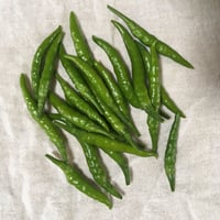 【野菜セット増量オプション】青唐辛子