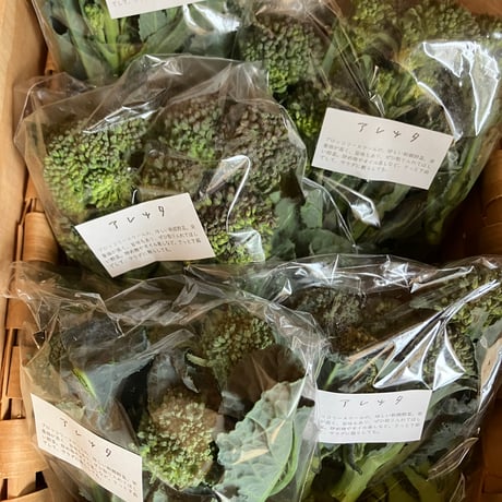 SPIRA FARM BOX　—旬の野菜セット—《クロネコヤマト発送》