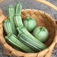 【野菜セット増量オプション】ズッキーニ（３〜５個）