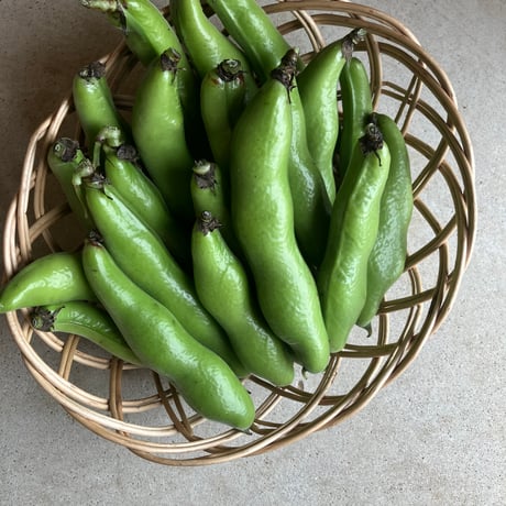【野菜セット増量オプション】豆板醤（SPIRA FARM産唐辛子または韓国産唐辛子使用）